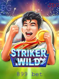 Descubra a Emoção do Jogo StrikerWILD